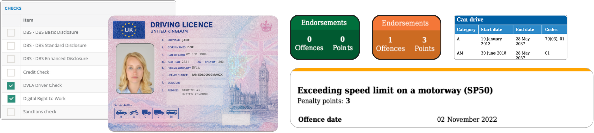 DVLA UK driver check