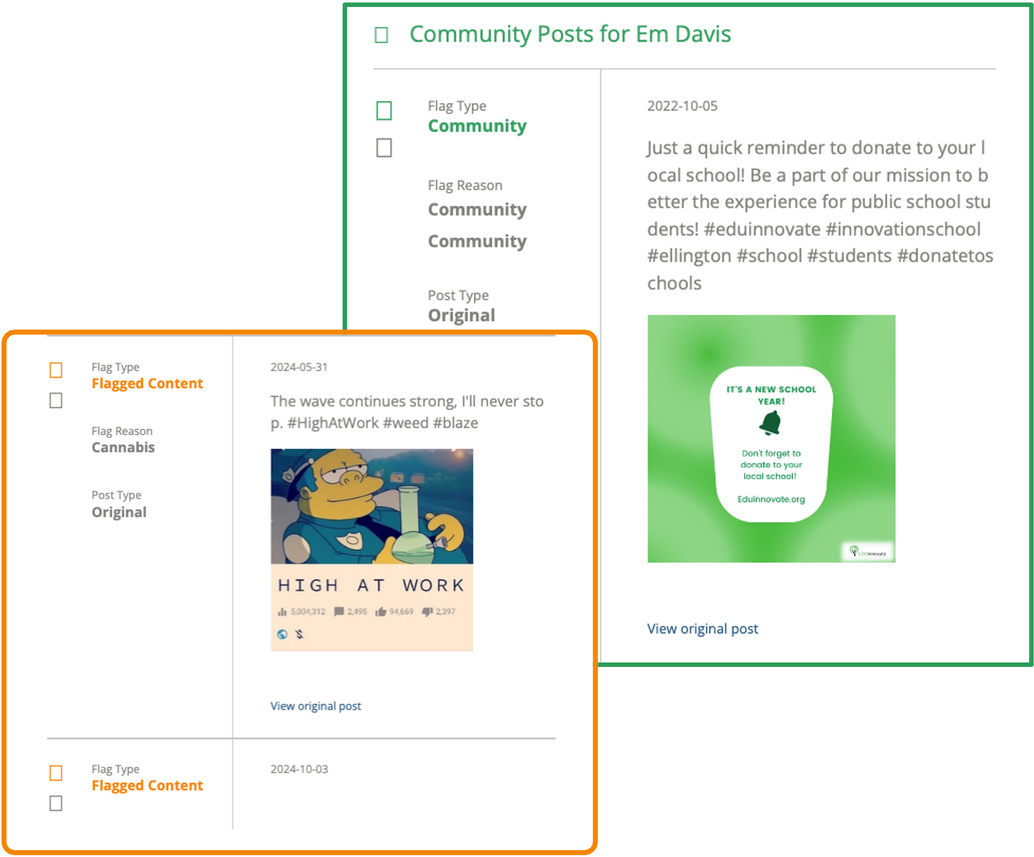 social media screening example report